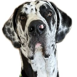 Coin image for FUNdXFxjtYciDysSExpFp7pVWAYzeDcVfaE2qnyGUGhN