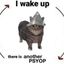 Coin image for FUcG5LLcctAxvuTDon6HWUwtQoua76gitE8BrPyLpump
