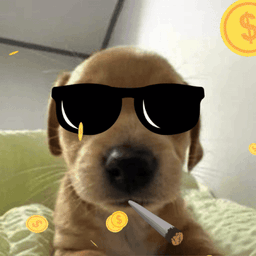 Coin image for FUdMT98NmSPHvAvJTCQXSqvrh2SLnX8qXKscQbn6pump