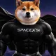 Coin image for FVnYDYEGSy4iX4ERpHbQVNCYbgs2FW37PJrbaHeypump