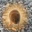 Coin image for FVtcQMFtzH3xqhBYdVZ9CvSCqDpmdjsHjnS81nWGpump