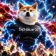 Coin image for FXPjzf6bhCBQDKUNh9PK416pTsbvgyVg2Nct4nnBpump