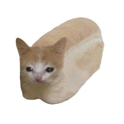 Coin image for FXwPbffmzbWKuBZDcjCDgSDaAWncjPzSE7S8BTpbpump