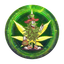 Coin image for FYCj1Wsp1JUMh3RqpUtJGyE13RN6Yc5Tt2ULzudBpump