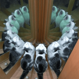 Coin image for FYc5oMdkUBzcQwXkC9ec2s9fccTP8R5UhLkVhsSLpump