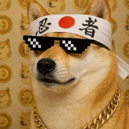 Coin image for FYjkSyREhrfpU799KPRthk9AL5bm9WZ7aySS92obpump