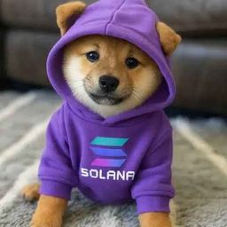 Coin image for FZC9zjCxQefF3KKjD7SjbbdmmJNZCosdUh5mEv65pump