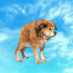 Coin image for FZcCjeFdadbfXBCpVGGk3bGMHAaaQm5qtaGAHMm9pump