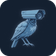 Coin image for FaL1PFQhNo4JAGaQKSnKurWeNtpexqEAduQjR4H6pump