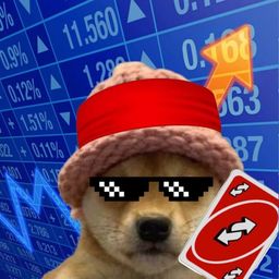 Coin image for FasDuHib4j5vSgSnkCCccEWd7nNS9UnPpNMXuLRKpump