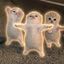 Coin image for FauAgEwacNsWtStgUx2Q7AC5s6GoaenUQjWEbpwfpump