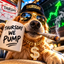 Coin image for FbQdKBd9ryw6M6dw9sKAFfD5oDxT4azNNySiEeDbpump
