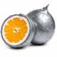 Coin image for FbxRbVyikho7myqPprDnphRJNS2wZ7z9539o6o6bpump