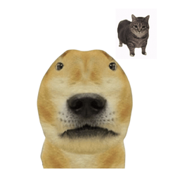 Coin image for FcXrSFXBPLaJSMBKrL9SdkGzB9DzW3Hu4pJhQdTepump