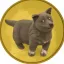 Coin image for FcjWR5SzegV5foBtHMvp7DLt8vTpEGzy47ASWkvJpump