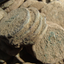 Coin image for FcsSwqSp1SjBqD3nfnjUhBevJvDLv5ugK5jEMsFcSoK1