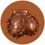 Coin image for FdWJ2jVrE6r3Wov5PEHPy3Pevf65DKFd3s11H6QeNe2N