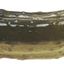 Coin image for FdonmiQZ2WWttQttg22vNnSTSddHn8a4ZiUDmrJypump