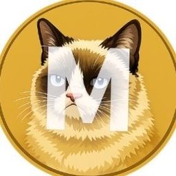 Coin image for Fe34RTwNfRMS7io5aX613Tv59JFTs3jwo6BVCGg9pump