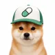 Coin image for FeQGpiFx3PMp1TNziximK8GV2Ls8QcVBEqJTv2Mtpump