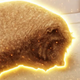 Coin image for FegboaavSiuE8XfH2BqXxGRP63ftaoQNopBiPZ86pump