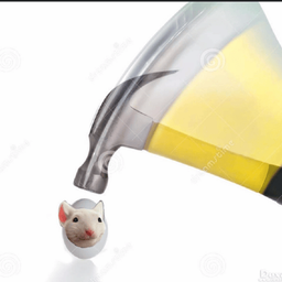 Coin image for Fev8bzzAACTskp2T7gAvyEE4mEQtjigBqPCkD9fYpump