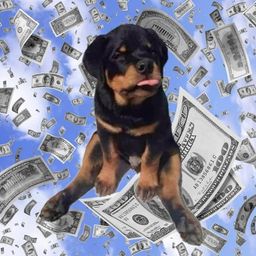 Coin image for Fewk7QyP7FQdfuCbc9RTBVEshzB4vRMoPPsbTLtNpump