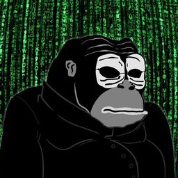 Coin image for FfFDC2qhoS1mDnKZ25ov26JmhFybRfXMKnW2ZaQWpump