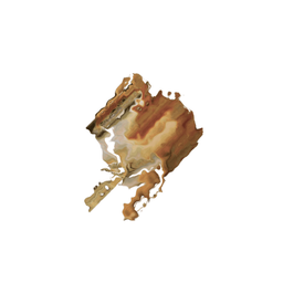 Coin image for FgCSZc2K41DnofgYREsp3DqZtsHYHTVYctijWJL8pump