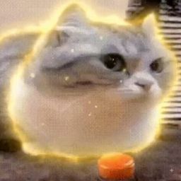 Coin image for FggsPRWmLSM2yCePq3k3PiVuJgDbH86BCEBqjgsPpump