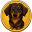 Coin image for FhJkSagsyn2mfXXypYJDB9S9CiYXfzMtaB5bbfevpump