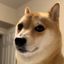 Coin image for FhbqJtDE5XXk9Netjvrx5nhmnXxFRAS9eoGLwMi2pump