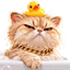 Coin image for FiSLwGwpXksAGSJKcupwaZvtXuhYvSYep2Sv5jydTBoe
