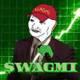 Coin image for FipHCfqnU5fKbAwNMQcV12UcKEoMm3TC2amFwJxwpump