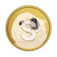 Coin image for FjkkmabswRjxh4nAzCyVypbbyXeK62DXAdPqPZbbpump