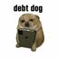 Coin image for FkJrB7LPuvDbwoWxfcqXEXyvtjXYFims4CNiQecmpump