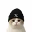 Coin image for FmMpQQfyanaztfJuy8ECJUgLGbfRy8qKpPoMDdMaWGLK