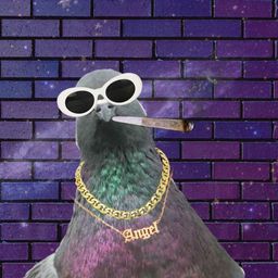 Coin image for FmRGSiUBpRSGZvZXtMdB5KRUfTBeM81jssmdZGuipump