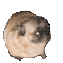 Coin image for Fmo4cScZbQD1fD55RWpPADFb4WSjNN2Enopw3snnpump