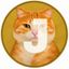 Coin image for FnSqYwRqcptJqLRanpNJgfgbn5r5hCMFREv8PSbCaVLC