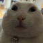Coin image for FnWAPvSScMPCzhatyLCVDoHtfmEqPvZiQM5eiX4Vpump