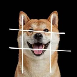 Coin image for FoLPiZwQuQcXxQfqsP5HTXazobvzBEcqrahnAz8apump