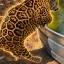 Coin image for FoTunCuWsp1Qhz55usfhPJ8yEPWd8E1asAdHwBTHpump