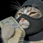 Coin image for FpENTkWhXGXuA86dqnT4nt4saWBVgVThdwhHJDNLpump