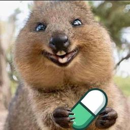 Coin image for FpdBZod5bhfQPXGDzCbVsi3kDB6ZWLFHdmvbKGGnpump