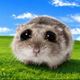 Coin image for FphxoPuPpgRj8dQHEoJFsx5dnqTH8NRtpKJntyispump
