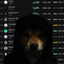 Coin image for FpzhoAQs3W5vLxDTce3syxysKQzWcdWsk4xDXdejpump