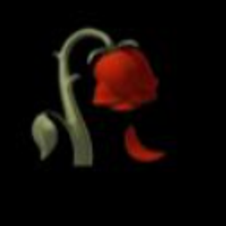 Coin image for FqXggaKCjPyQ3HPiCho2fCZz7B25vtAuVeeyBJJnpump