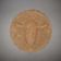 Coin image for FrA5NcH1Pwa7FoG5iCF87TyZdXsKP8tyRjNcAUm1pump
