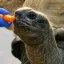 Coin image for FrQuS1cvuNJDxwHEqsakL1BV7oyXh6LuE62TBpPwpump